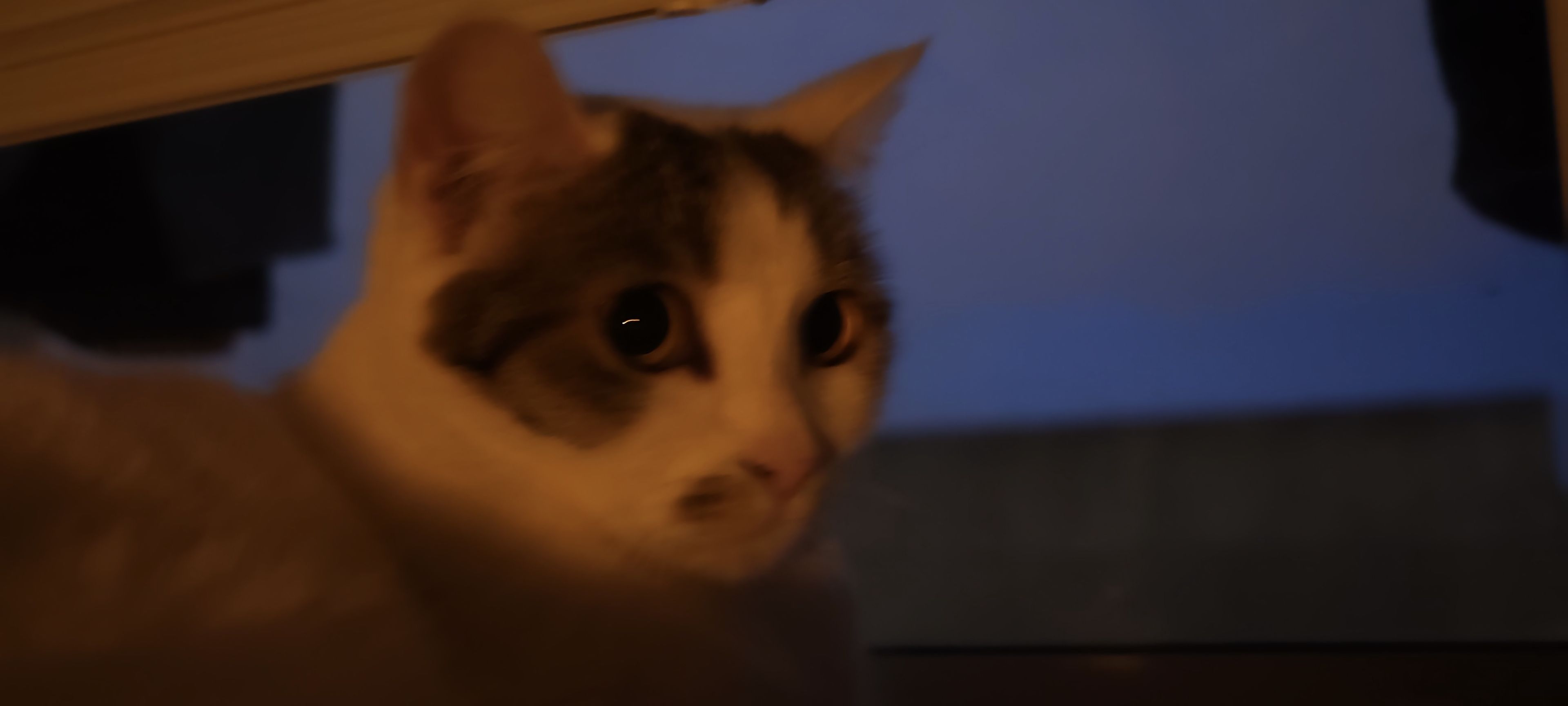蓝调