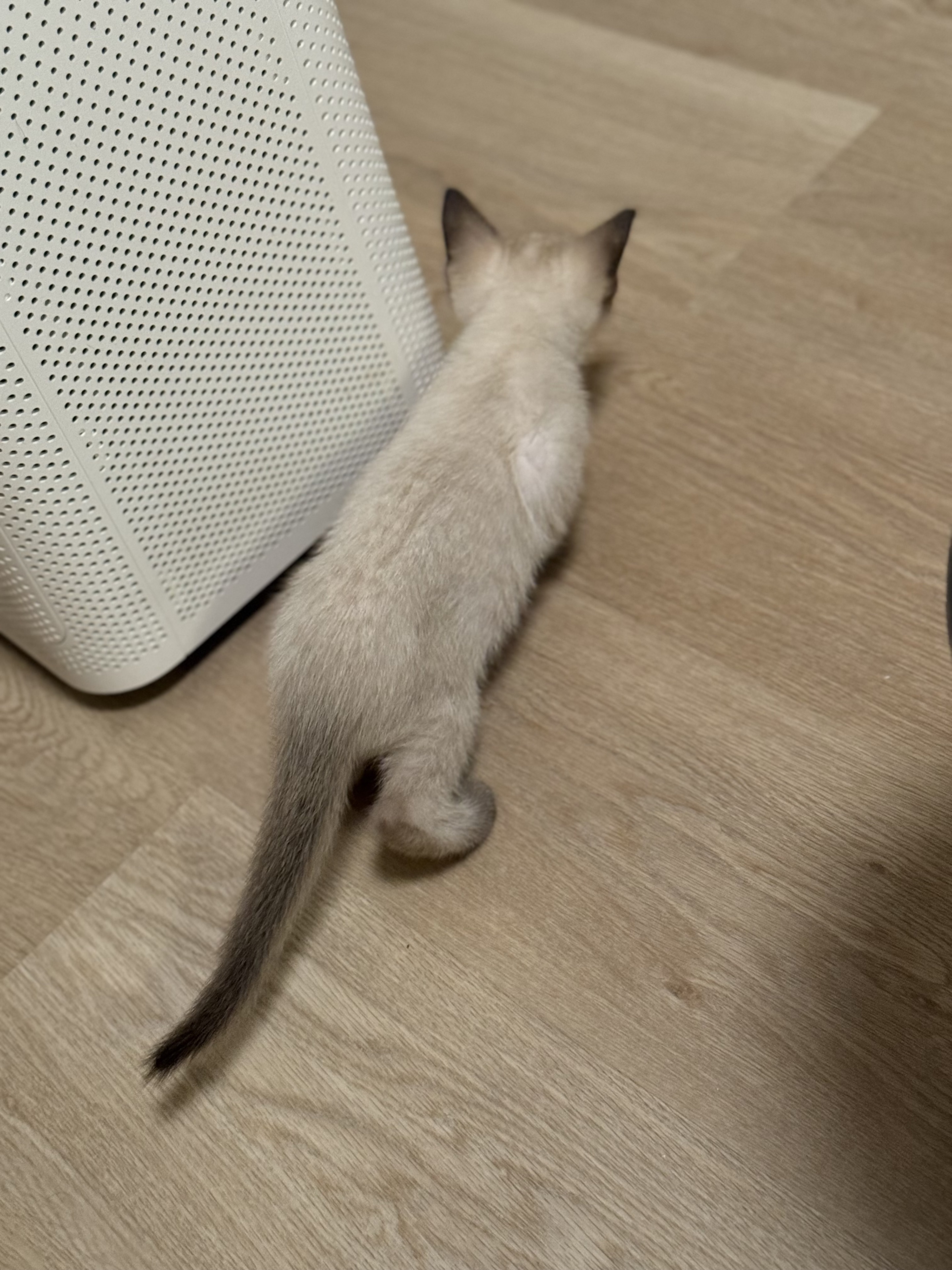 探险