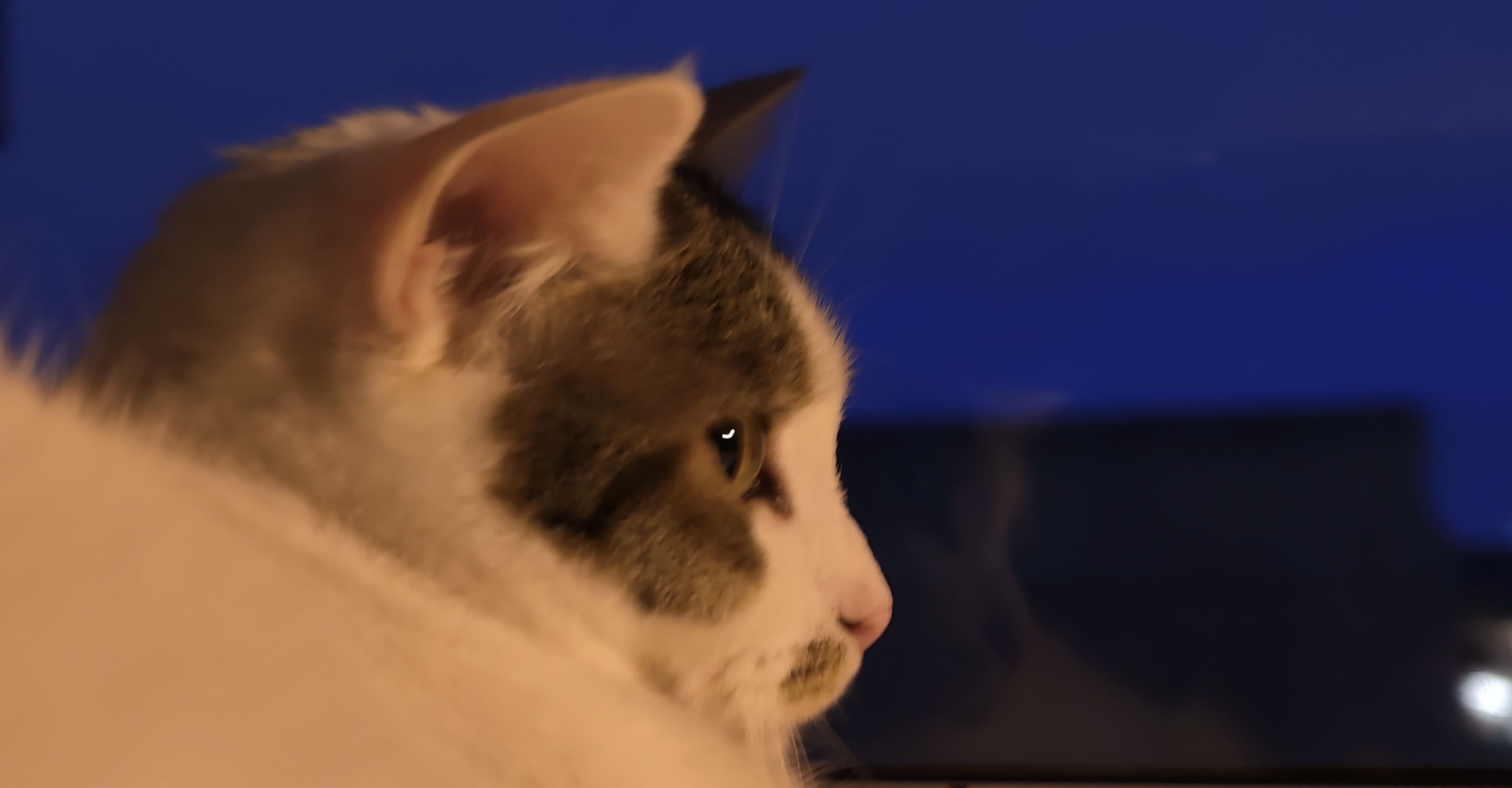 蓝调