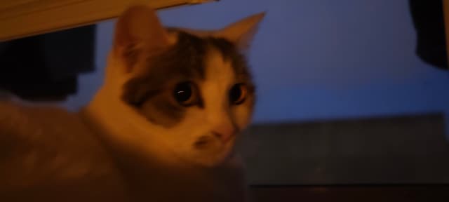 蓝调