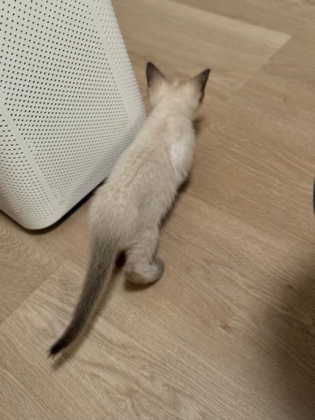 探险